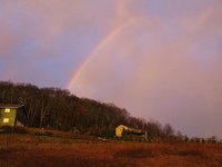 Insane rainbow