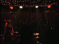 TEXAS TERRI