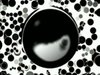 Motionographer