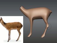 deerdetailingsculpt vimeo