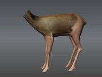 deertexture vimeo