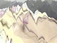 Ponderosa