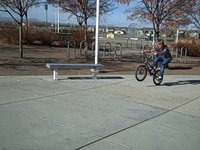 Taylor Bonds Winter Edit
