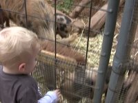 Ryan at the Zoo
