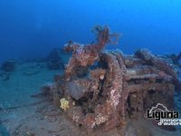 Wreck Bettolina - Cervo (Ita)