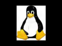 GPU Painting - genetic programming and GPGPU - evolution of Tux