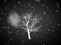 Birds - Merry Christmas 2009