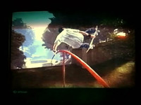 Skate 2 - Dub Flat 9