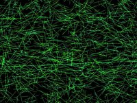Network Dance
