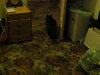 5th dec  2009 061