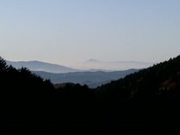 Foresta del S.Eremo di Camaldoli