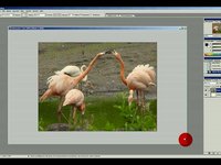 Photoshop Videotutorial Nr. 18 - Schneesturm