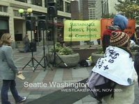 N30 10yr Anniversary WTO protests