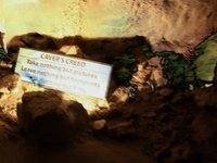 Natural Bridge Caverns