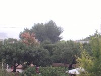 Rain falling outside the office window