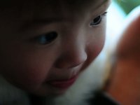 Evie  (Nikon D300s)
