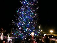 Lighting the Tree--12/5/09