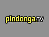 Pindonga HD