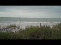 Rip N Dip Naples, Fl