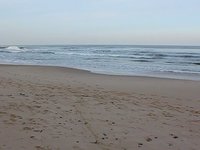 Baltic sea