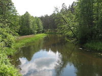 Upė