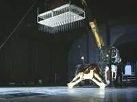 Tod's piano stunt