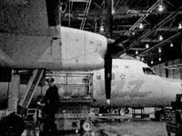DH8