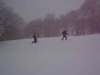 Roncesvalles090208