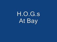 H.O.G.s at BAY