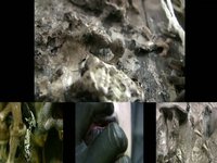 acce.contro.self: BEST KEPT SECRET (4 channel)