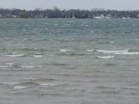 Whitmore Lake Windstorm