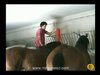 La cuadra de caballos de Leonardo Hern&aacute;ndez