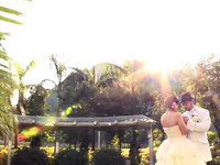 Ray & Pinky SDE
