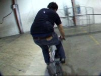 Ollies Winter Edit Numero Uno