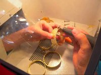 Freze kalemi / Diamond cut