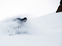 Persian Powder 2008