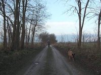 11. türchen - #11/24