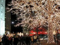 Christmas Lights on Temple Square