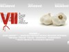 Handy35 Sample Videos
