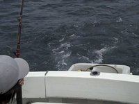 love to watch her fish