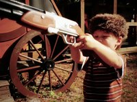 Pony Ranch Express