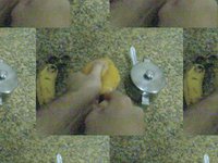 Montage09
