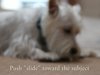 Cameratown's EOS 5D Mark II Video Channel