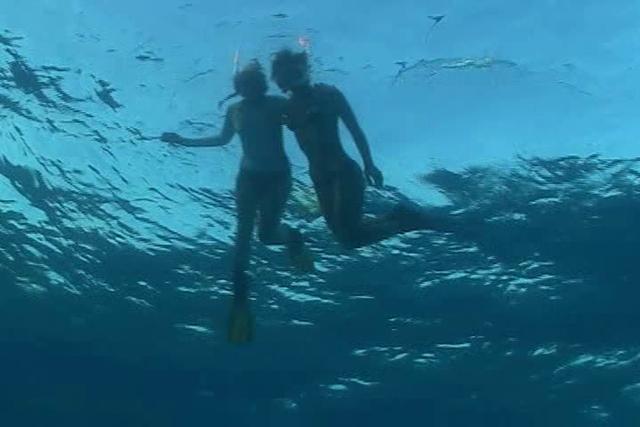 Bimini Adventures