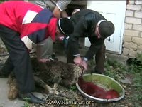 Videoyu Görüntüle