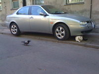 Bird VS Cat