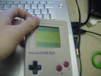 Gameboy Stutter