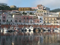 Ponza delle Meraviglie DOC