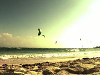 Kitesurf - Torneo Amateur Xpu Ha 2009
