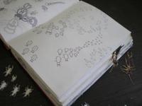 my sketchbook